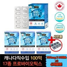 세리더이야기