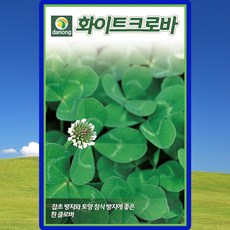 다농 화이트크로바 씨앗 20g 1개 상품 이미지