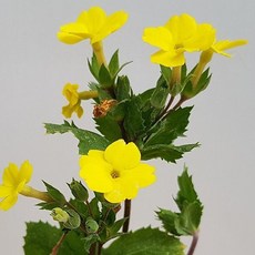 e603376b494a8b3ff3d4508b14ddacf403f4e2501d55e568d6780c4674e4.jpg