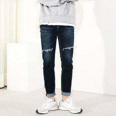 디스트로이드진