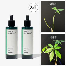 앰플형 고농축 식물영양제 - 레이니샤워, 2개, 100ml