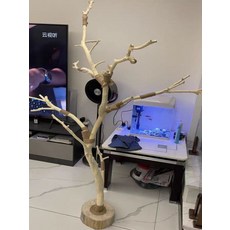 앵무새놀이터 둥지 나뭇가지 케이지 스탠드 스탠드형 용품 사육장, 1세트, 120cm 하이버드 스탠드
