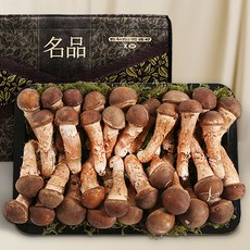 [오름향] 직영 재배 산지직송 국산 참송이 버섯 특품 1kg 선물세트, 특품 참송이버섯 선물세트 1kg, 1개