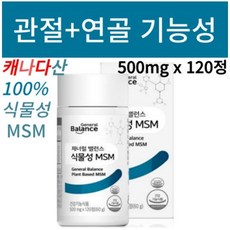 지쿱 제너럴 밸런스 식물성 MSM, 120정, 2개