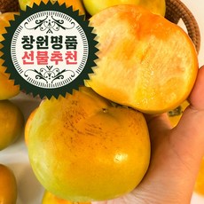 댈리그램 명인농장 직접 수확한 태추단감 배단감 산지직송, 1개, 4kg(약간못난이)