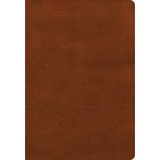 (영문도서) NASB Super Giant Print Reference Bible Burnt Sienna Leathertouch Imitation Leather