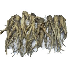 약도라지10kg