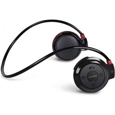 스마트리마이크