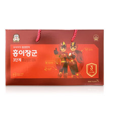 정관장 홍이장군3단계 8-10세 어린이 면역력쑥쑥(20ml*30포/90포), 90개, 20ml