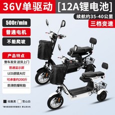 세발전기자전거 3륜전기자전거 바이크 배달 애견 화이트 전동 동반 성인용 접이식 2인승 세발, 48V, C