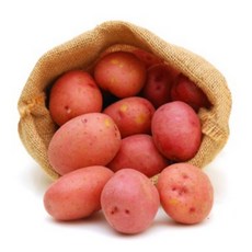 자색감자-추천-상품