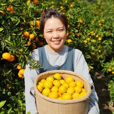 [농부들의수확]제주 하우스 감귤 가정용 3kg(2S)