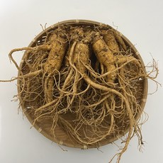행복한인삼 금산 인삼 6년근 5년근 세척 난발삼 파삼 수삼 난발삼 삼계탕, 500g(잔난발삼 10뿌리 내외, 세척안함), 1개