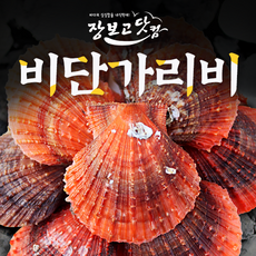 가리비당일배송