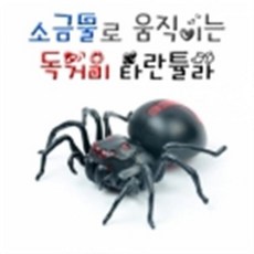 타란튤라분양