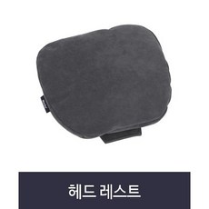 모리코알칸타라