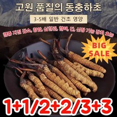 고급 동충하초 고원 품질의 동충하초 자연산 동충화초 0.5, 0.5그램*1(1+1아님!), 1개