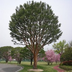 5b918321490ad72f5bac26c364d90e46b3a92d4dfae6de1a816e3fc4013d.jpg