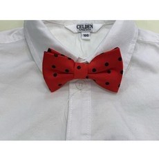 백화점나비넥타이