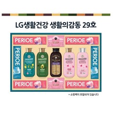 엘지생활건강 생활의 감동 29호 선물세트(쇼핑백포함), 1개
