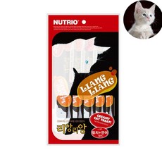 다이어트쭉쭉이