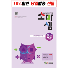 소마셈b3