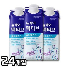 뉴케어 액티브 골든밸런스 단백질음료, 4800ml, 1개