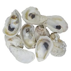 fdce5eadacd9c12b08d4a5f962e88dc98ec26f5f432e7db0a3e61217fe2d.jpg