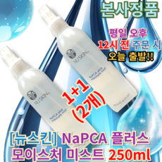 뉴스킨 NaPCA 플러스 모이스처 미스트 250ml X 2개 NU SKIN NAPCA PLUS MOISTURE MIST 스프레이타입 피부 모발 수분공급 알로에베라성분