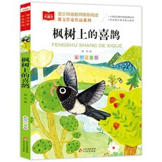 중국어원서 枫树上的喜鹊 단풍나무 위의 까치 한자병음대조 중국어입문서 초등학교 과외도서 아동문학