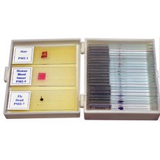 현미경프레파라트