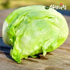 식탐대첩 국내산 신선한 양상추 6통 개당450-600g, 6개, 450g
