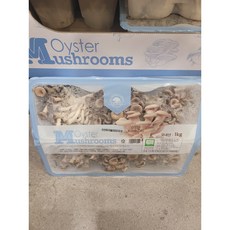 아이스박스 발송 무농약 느타리버섯 1KG 국내산 코스트코 신선식품, 1개