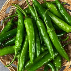 씨유청양고추라면