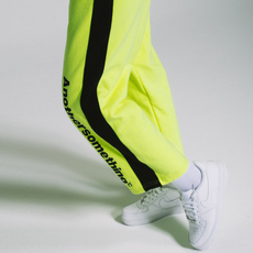 이누스프로베이직