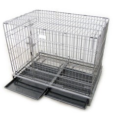 일산대형견애견호텔