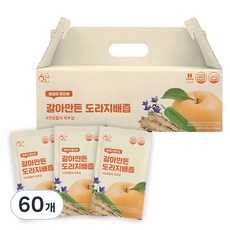 황금이네 국내산 갈아만든 도라지배즙, 100ml, 60개 100ml, 60개