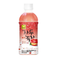 웰그린 자두녹차 340ml (20페트), 1개