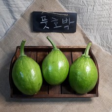 조선호박