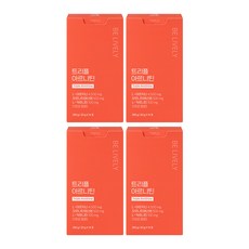 에브리데이 트리플 아르니틴 아르기닌 에너지, 280g, 4박스