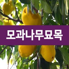 9bff0613d1be56597c80cca22d1f92c90ca8ede295244a062db47fc2da88.jpg