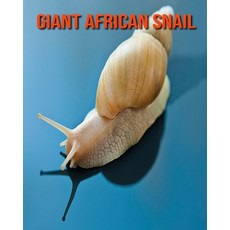 Giant African Snail: Fun Facts & Cool Pictures Paperback, Independently Published, English, 9798564309721