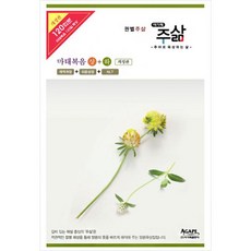 주야로묵상하는삶