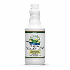 NATURES SUNSHINE 네이쳐스선샤인 엽록소 액상 리퀴드 클로로필 ES 소화 효소 후레시 민트 460ml Chlorophyll Liquid, 1개