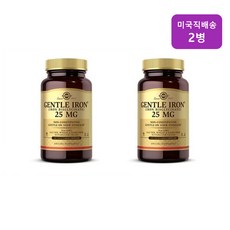 솔가 젠틀 아이언 180정 영양제 solgar 2통, 2개, 180개