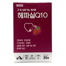 헤파실