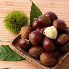 농사랑 [농사랑]사곡농협 공주 알밤 대 1kg, 단품없음