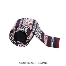 나비넥타이수동