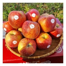  [자연맛남]고당도 프리미엄 가정용 엔비사과 5kg(중과/20과내외), 1개 