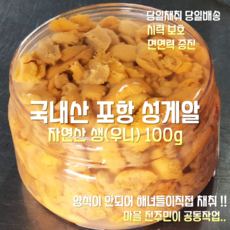 [산지 직송] 국내산 자연산 포항 생 성게알 우니 100g, 1세트